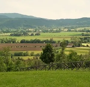 E Cantina Tenuta Casteani 3* Ribolla